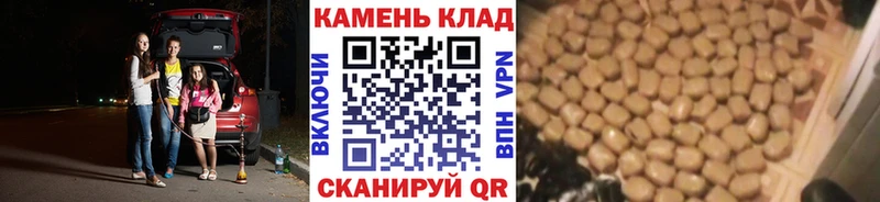 Купить закладки  Кстово  Гашиш VHQ 