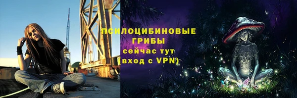 молекула духа Волоколамск