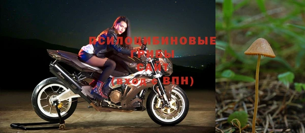 молекула духа Волоколамск